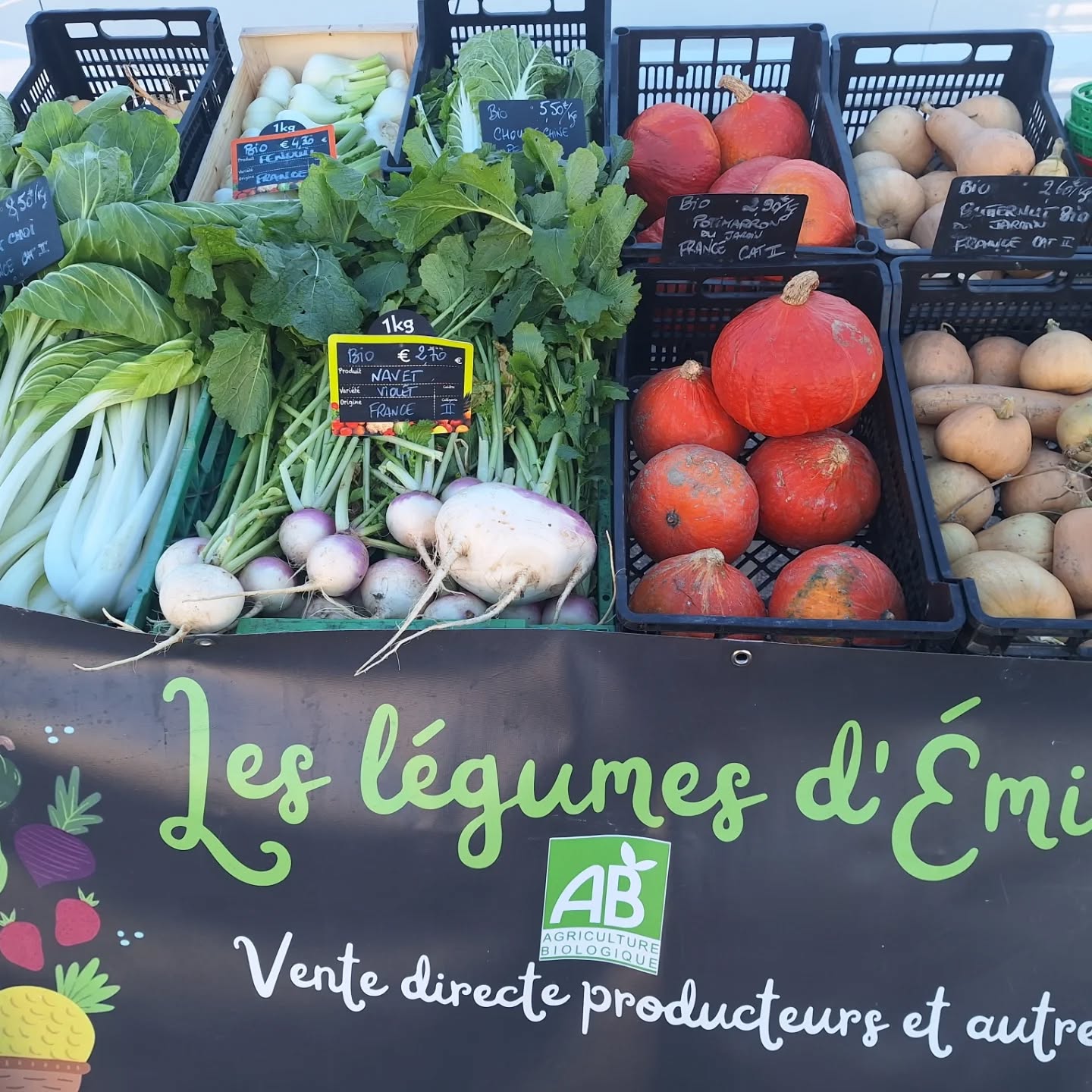 L'étal : choux, navets, potimarrons et courges en cagettes, derrière la bâche « Les légumes d'Émilie »