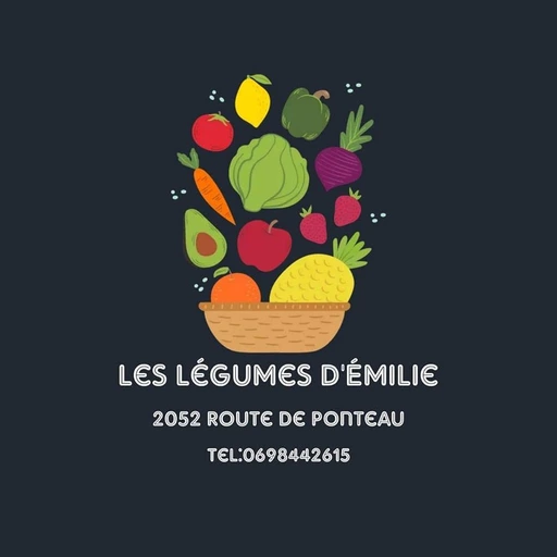 Logo Les légumes d'Émilie