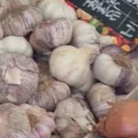 Ail et oignons sur l'étal