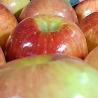Pommes Fuji en cageot sur l'étal