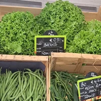 Salades batavia et haricots verts bio en cagettes sur l'étal